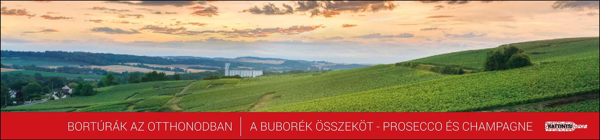 Prosecco és champagne - Pezsgők