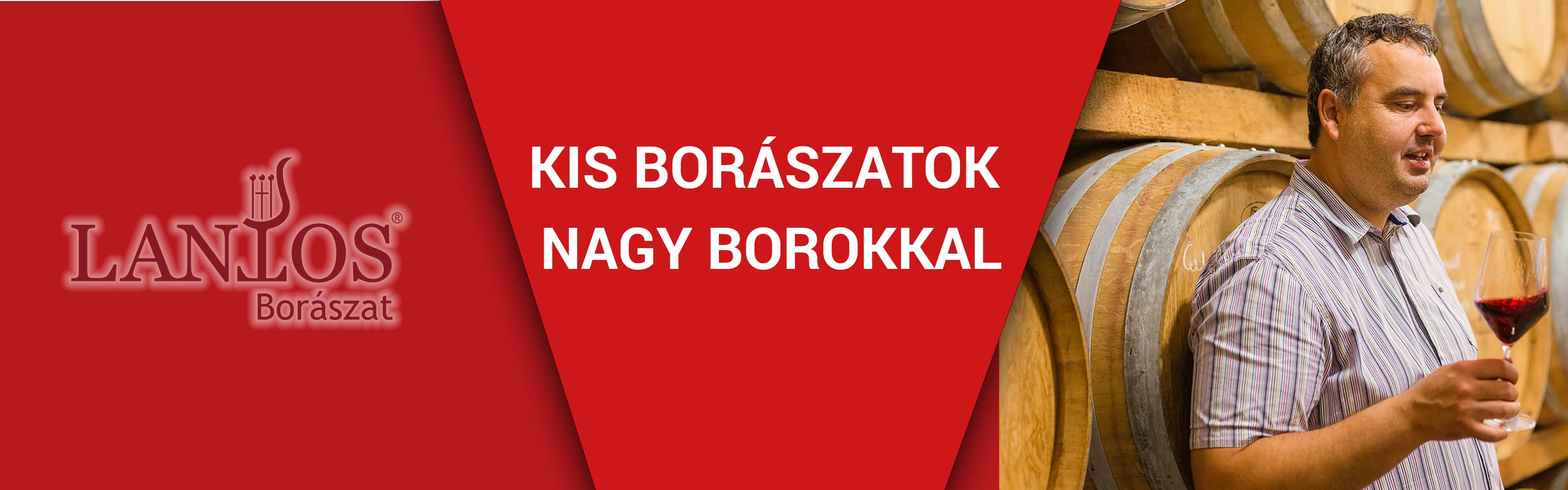 Lantos Borok - Lantos Borászat interjú