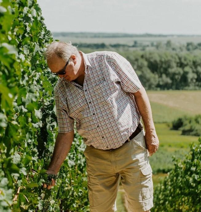 Gere Attila a szőlőben - Gere Kopár