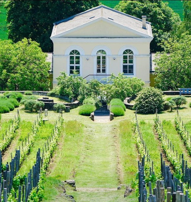 Disznókő Szőlőbirtok - Disznókő borok