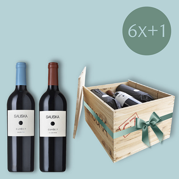 6 palack faládában