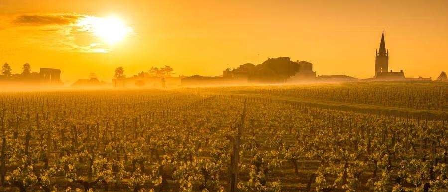 Francia borok Bordeaux