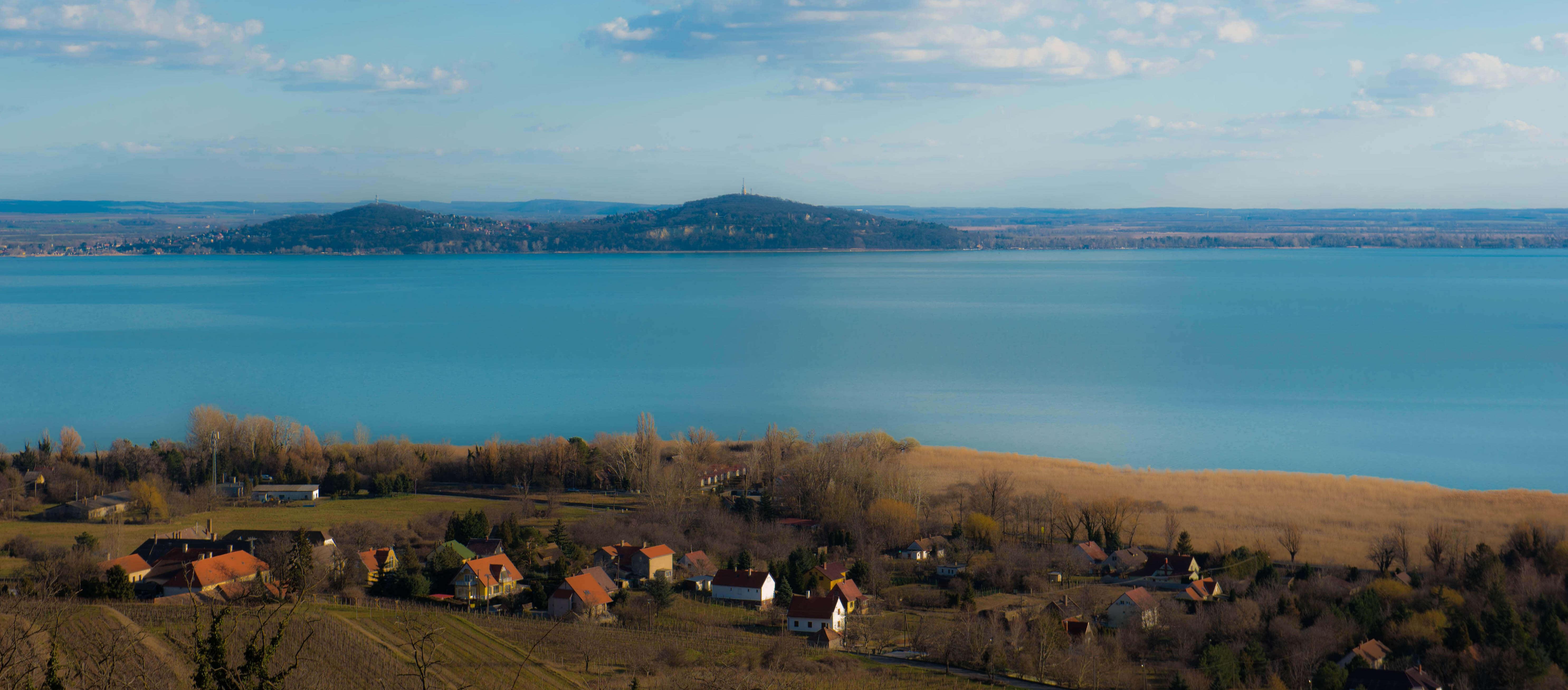 Olaszrizlin bor-Balaton