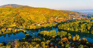 Tokaj furmint ültetvények