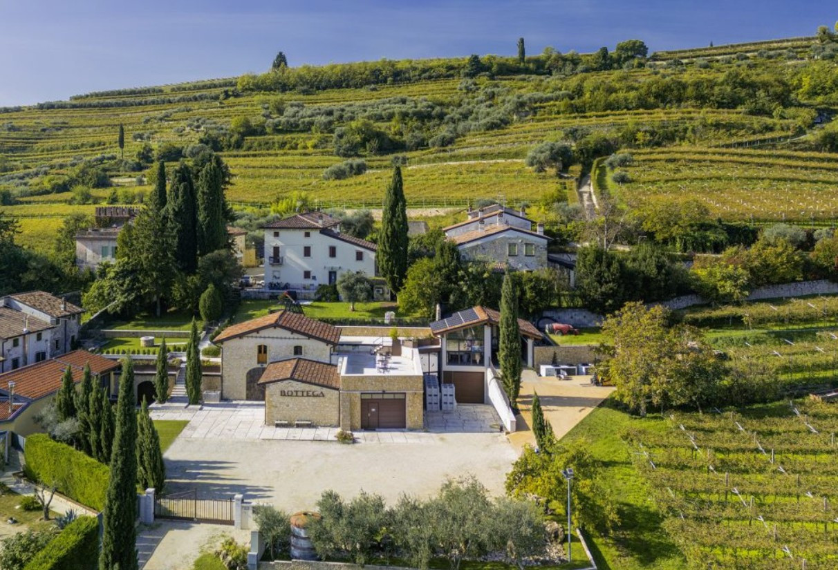 Bottega Prosecco ültetvények - Top 10 pezsgő