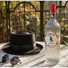 Kép 2/2 - Edgar Sopper Gin (0,7l)(40%)