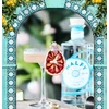 Kép 3/3 - Malfy Original Gin koktél