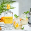 Kép 2/2 - Hayman's Exotic Citrus Gin