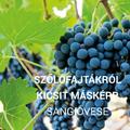 Sangiovese szőlőfajta – Toszkána kincse