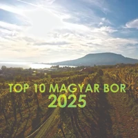 Top 10 Magyar Bor