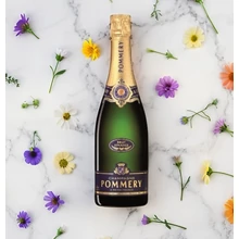 Champagne