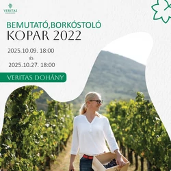 Borkóstoló Budapesten Borkóstoló Budapesten