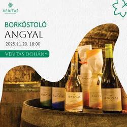 Borkóstoló Budapesten