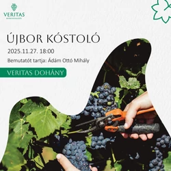 Borkóstoló Budapesten