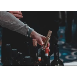 Borkóstoló Budapesten