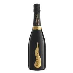 Prosecco-Bottega Költők Pezsgője - Veritas Borwebshop-online