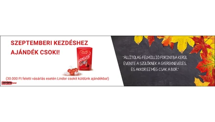 Örömet és csokit csempészünk az őszbe! – Lindt csokoládé ajándékba