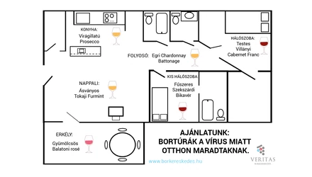 Bortúrák járvány idején