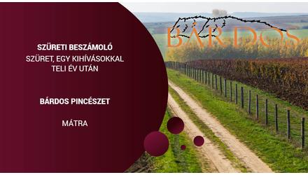 Szüreti beszámoló 2021 - Bárdos Pincészet