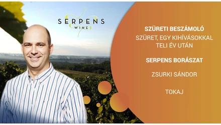 Szüreti beszámoló 2021 - Serpens Borászat