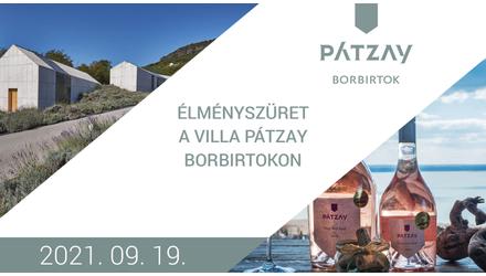 Végre újra élményszüret a Villa Pátzay Borbirtokon, Badacsonyban!
