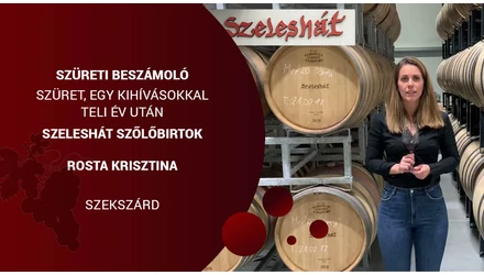 Szüreti beszámoló - Szeleshát Pincészet 2021