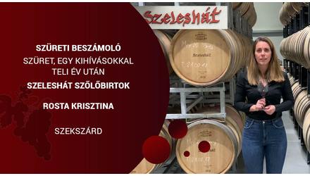 Szüreti beszámoló - Szeleshát Pincészet 2021