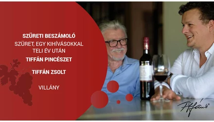 Szüreti beszámoló - Tiffán Ede és Zsolt Borászata 2021