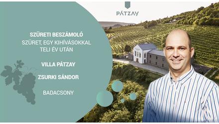 Szüreti beszámoló 2021- Villa Pátzay Borbirtok