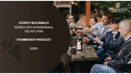 Szüreti beszámoló 2021 - Thummerer Pincészet