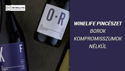 Winelife Pincészet – Az örömteli munka gyümölcse – Nem mindennapi történet
