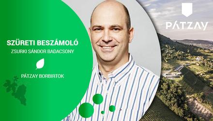 Szüreti Beszámoló 2022 - Új szüret, új lehetőségek és kihívások a Pátzay Borbirtokon