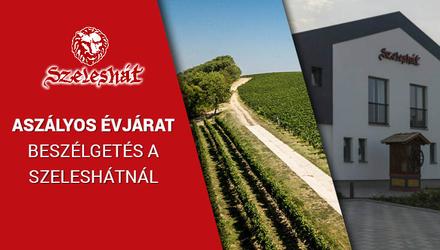 Egy aszályos évjárat tanulságai - Szeleshát Szőlőbirtok 2022