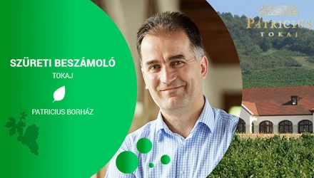 Patrícius Borház Tokaj - Szüret 2022 - Tudományos pontossággal 