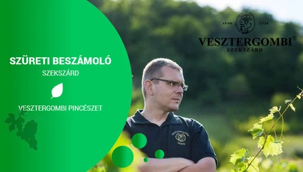 Vesztergombi Pincészet Szüret 2022 - A túlzásba vitt napozás ártalmai 