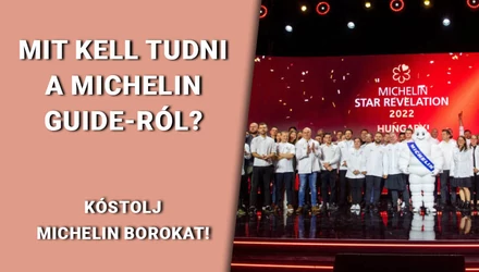 Mit kell tudni a Michelin Guide-ról – Kóstolj Michelin borokat