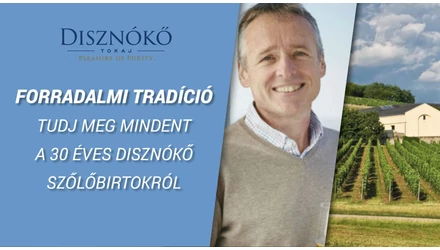 Disznókő Borok: Forradalmi tradíció – 30 éves a Disznókő Szőlőbirtok és Pincészet