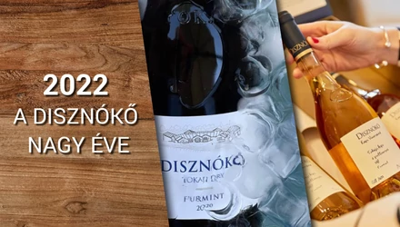A Disznókő nagy éve 2022 – Új Kapi Aszú és a Furmint a világ 100 legjobb bora között