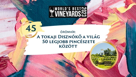 Örömhír - Beválasztották a tokaji Disznókőt a világ 50 legjobb pincészetébe