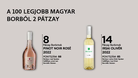 Top 100-ban két Pátzay Bor