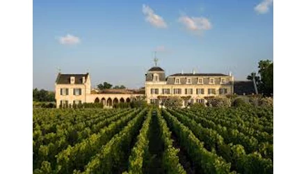 Francia Borok - Látogatás Bordeaux egyik borszentélyében – Haut-Brion – Clarence Dillon 