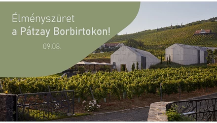 Újra élményszüret a Pátzay Borbirtokon, Badacsonyban! - 2024. szeptember 8.