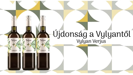  Vylyan Verjus 2024 -  Szőlő szörp, ilyen Merlot még nem ittatok, pedig érdemes