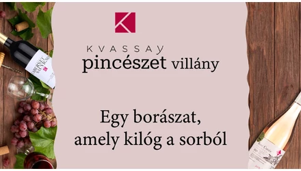 Kvassay Pincészet Borkóstoló - Egyedi stílus, bátor kísérletezés