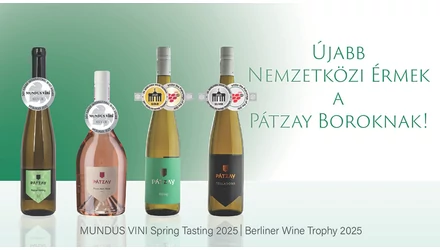 Pátzay Borbirtok kiemelkedő sikerei a 2025-ös nemzetközi borversenyeken