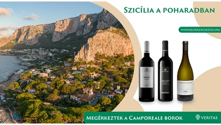 Alessandro di Camporeale: Az igazi szicíliai borok Catarrattotól az Etna Rossoig