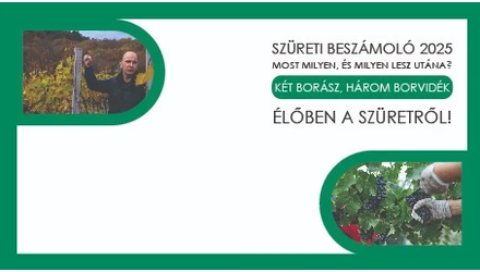 Szüret 2025: Várakozások, remények, Zsurki Sándortól és a Gere Attila pincétől