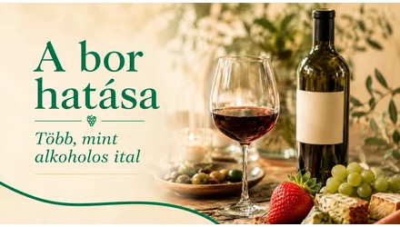 A bor jótékony hatása, a bor több mint alkoholos ital