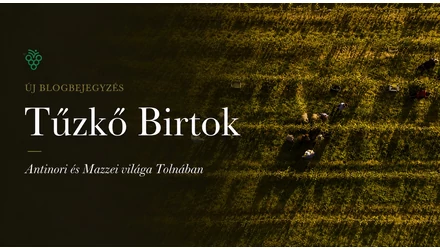 Tűzkő Birtok – mit érdemes tudni a tolnai pincészetről és borairól?