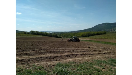 Bíznak a jövőben a Villa Pátzay borbirtoknál - Új telepítés Riza pusztán